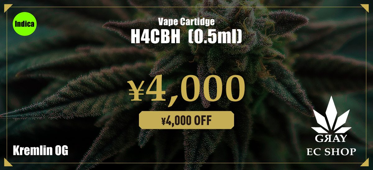 H4CBH インディカリキッド 半額セール